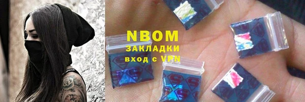 гашик Алексин