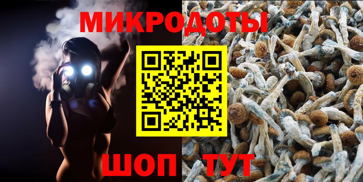 Галлюциногенные грибы Psilocybe Котельники