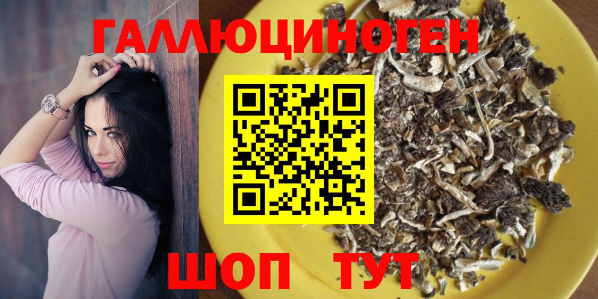 Псилоцибиновые грибы MAGIC MUSHROOMS  Вход с VPN  Котельники 