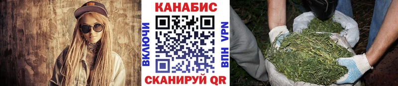 Каннабис сатива  Котельники 